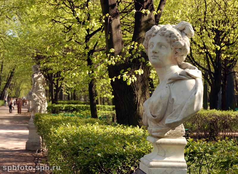 Аллегория Чистоты. Статуя Летнего сада. Бюст.